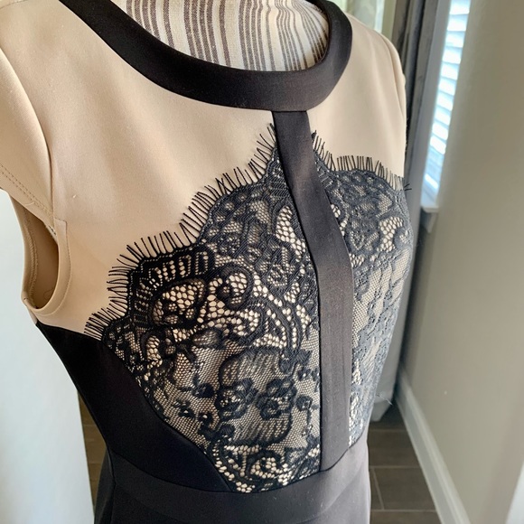 Lace Overlay Cap Sleeve Dress 
Size: 8
Color: Taupe/black - Picture 2 of 5